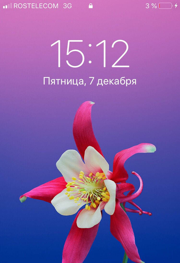 ПОЗТЕЬЕСОМ 36 Я 3 В 1512 Пятница 7 декабря