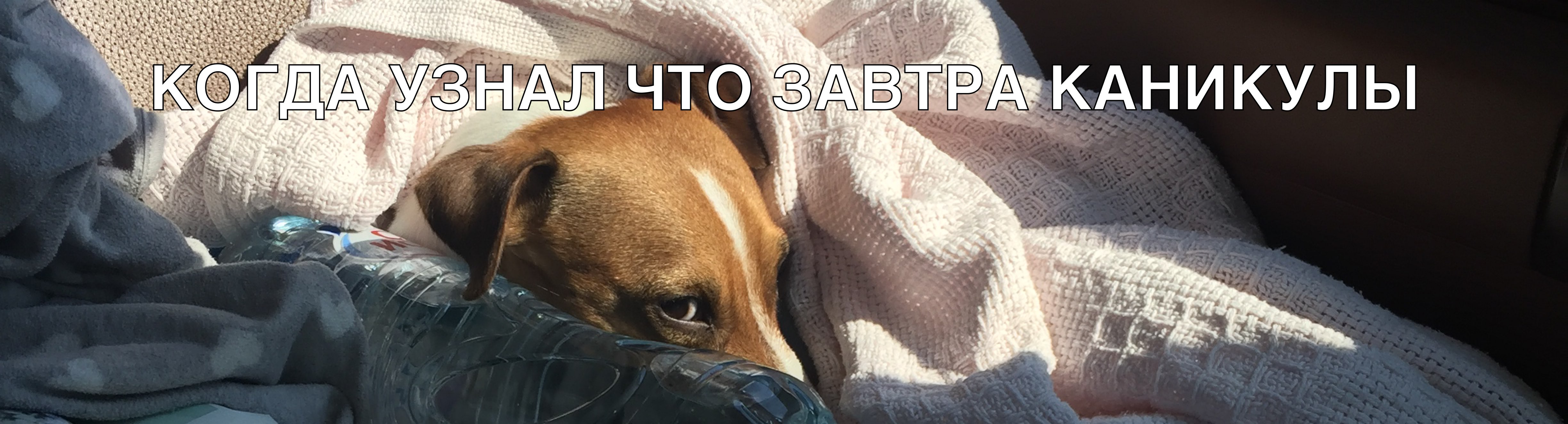 Езмсэшіж _ 0 Что