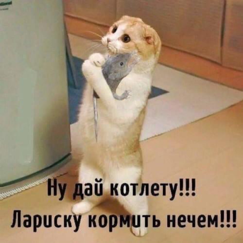 дай атлету Параску нать нечем