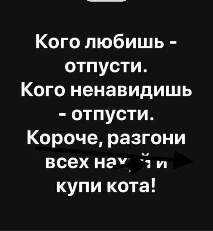 Кого любишь отпусти Кого ненавидишь отпусти Короче разгони всех нач и купи кота