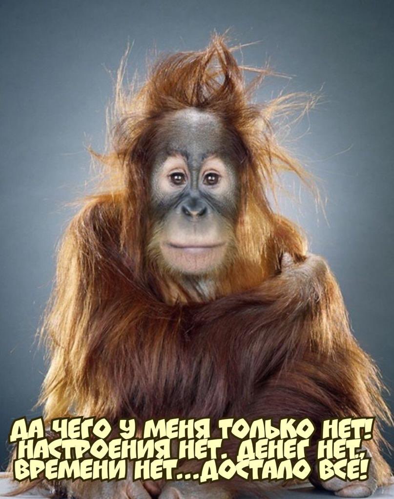 зи ме н_д9_еЁегЁ Ёша А А