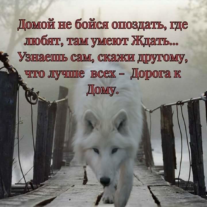 й бйш ш0здз1тщ ужешът Ждать ещ Дчтоалучшшш всех Дкозркотак