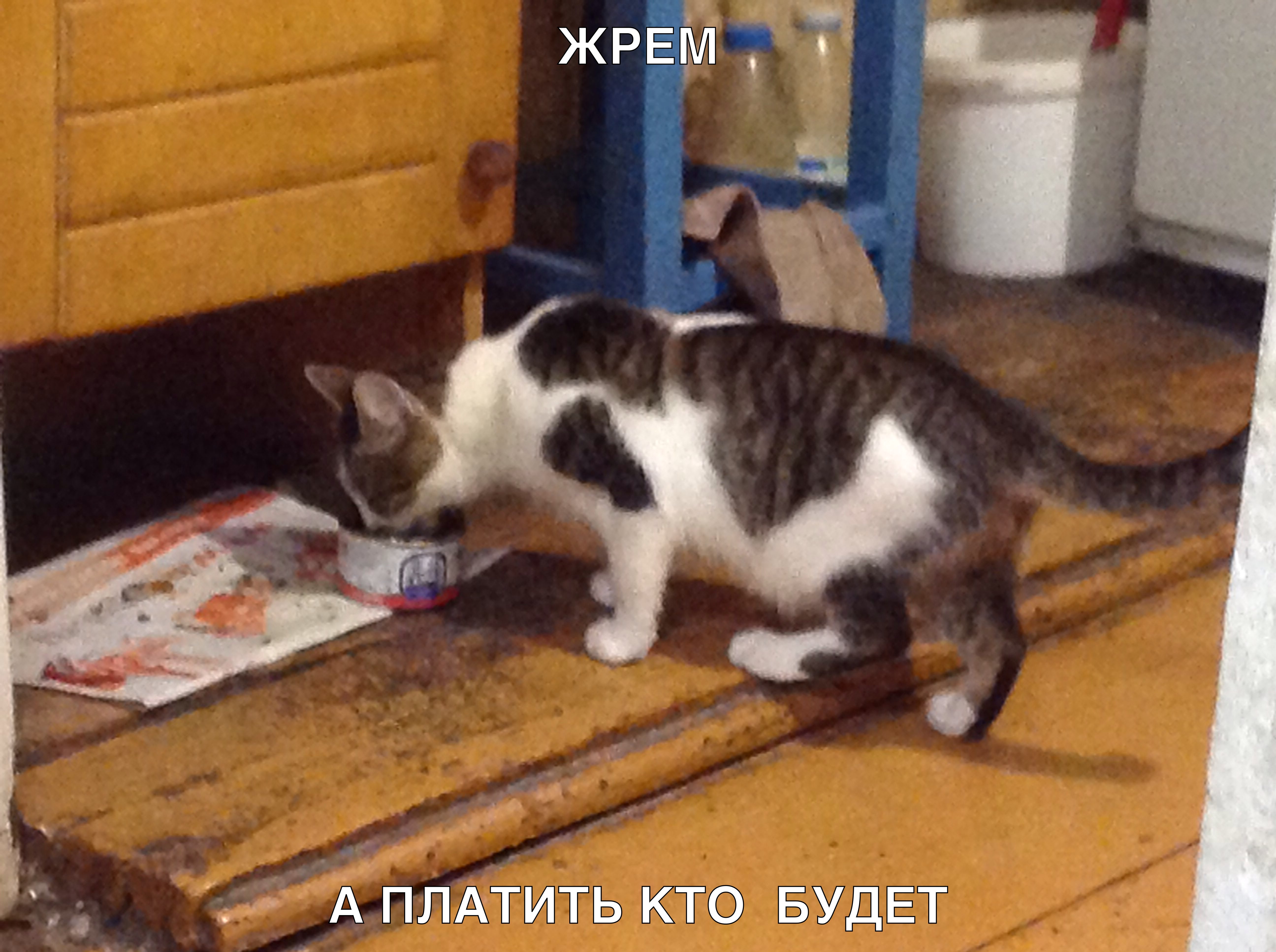 а АПЛАТИТЬ кто БУДЕТ