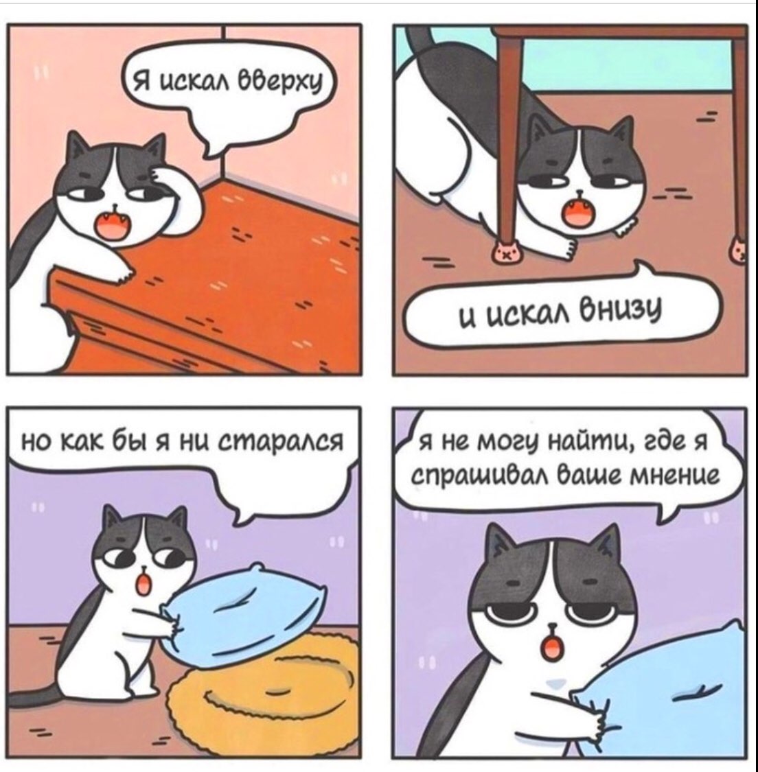 я не могу найти где я спрашцбм даша мнение А