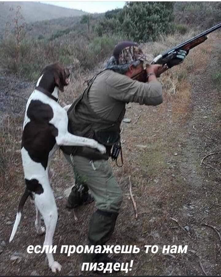 Промажешь тргнг пиздец