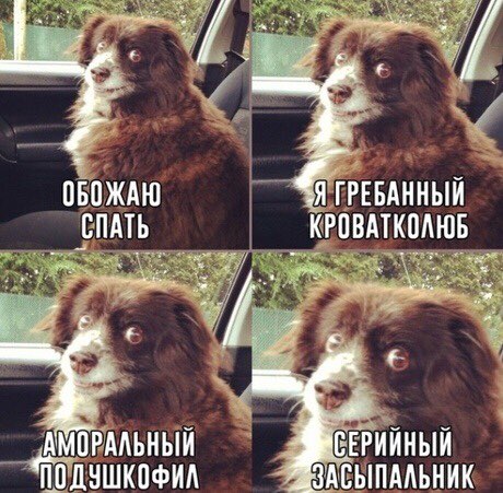 с в гийный ИМПРМЬНЫЙ ЗАЕЫПМЬИИК ШДНШКПФИА
