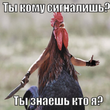 Тьцзнаешь нтв ШЭ