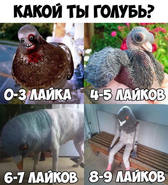 кАкои ты годуььг _