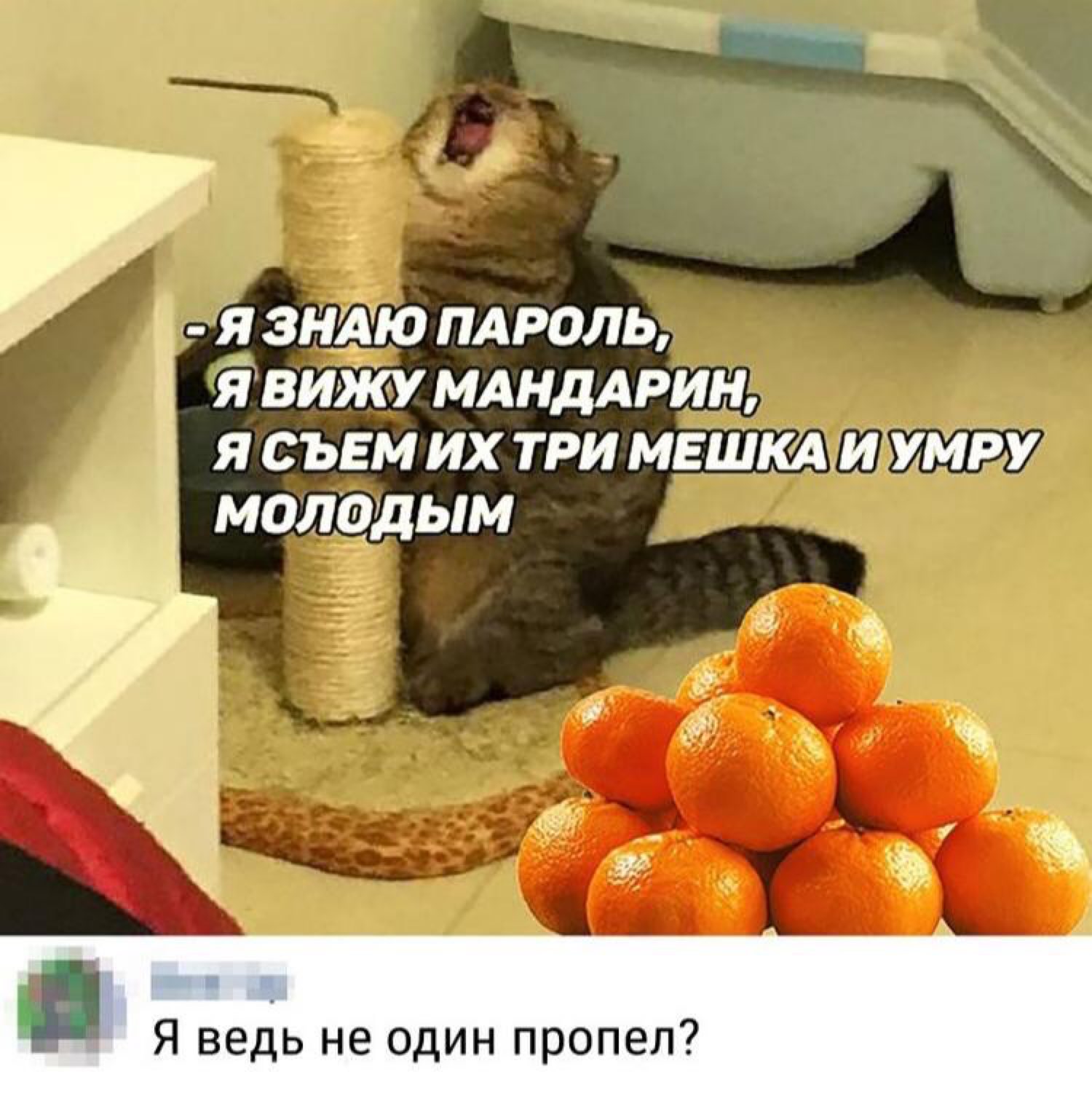 і Я ЗНАЮ ПАРОЛЬ ЙВИЖУ МАНДАРИН Я С ЪЕМ ИХ ТРИ МЕШКАИСУМРУ МОЛОДЫМ Я ведь не ОДИН пропел