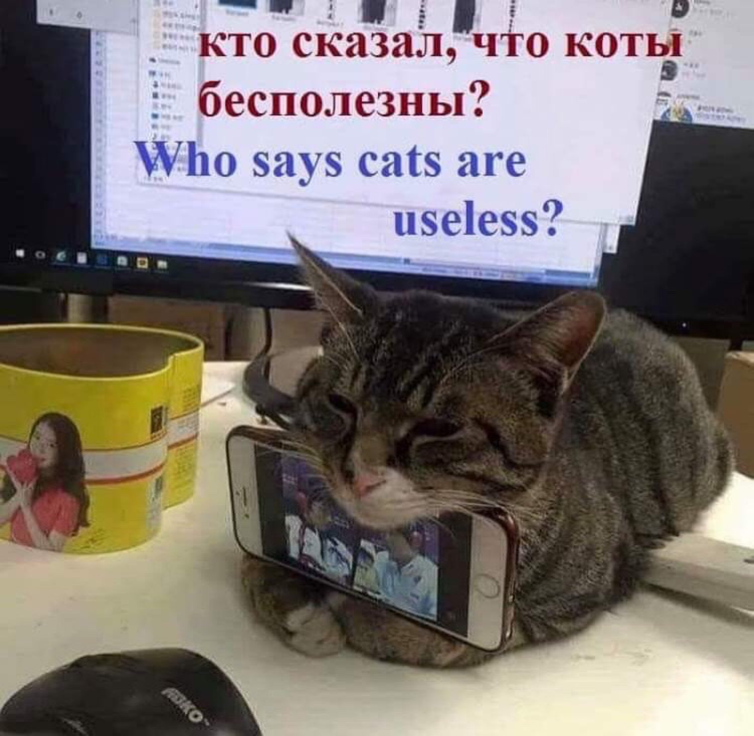 кто сКазаЁп чіо коть бесполезны