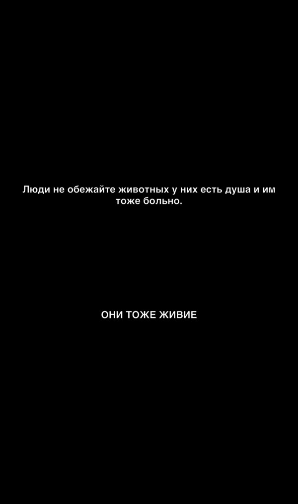 Люди не обежайте ЖИВОТНЫХ у НИХ ЕСТЬ душа И ИМ тоже больно ОНИ ТОЖЕ ЖИВИЕ