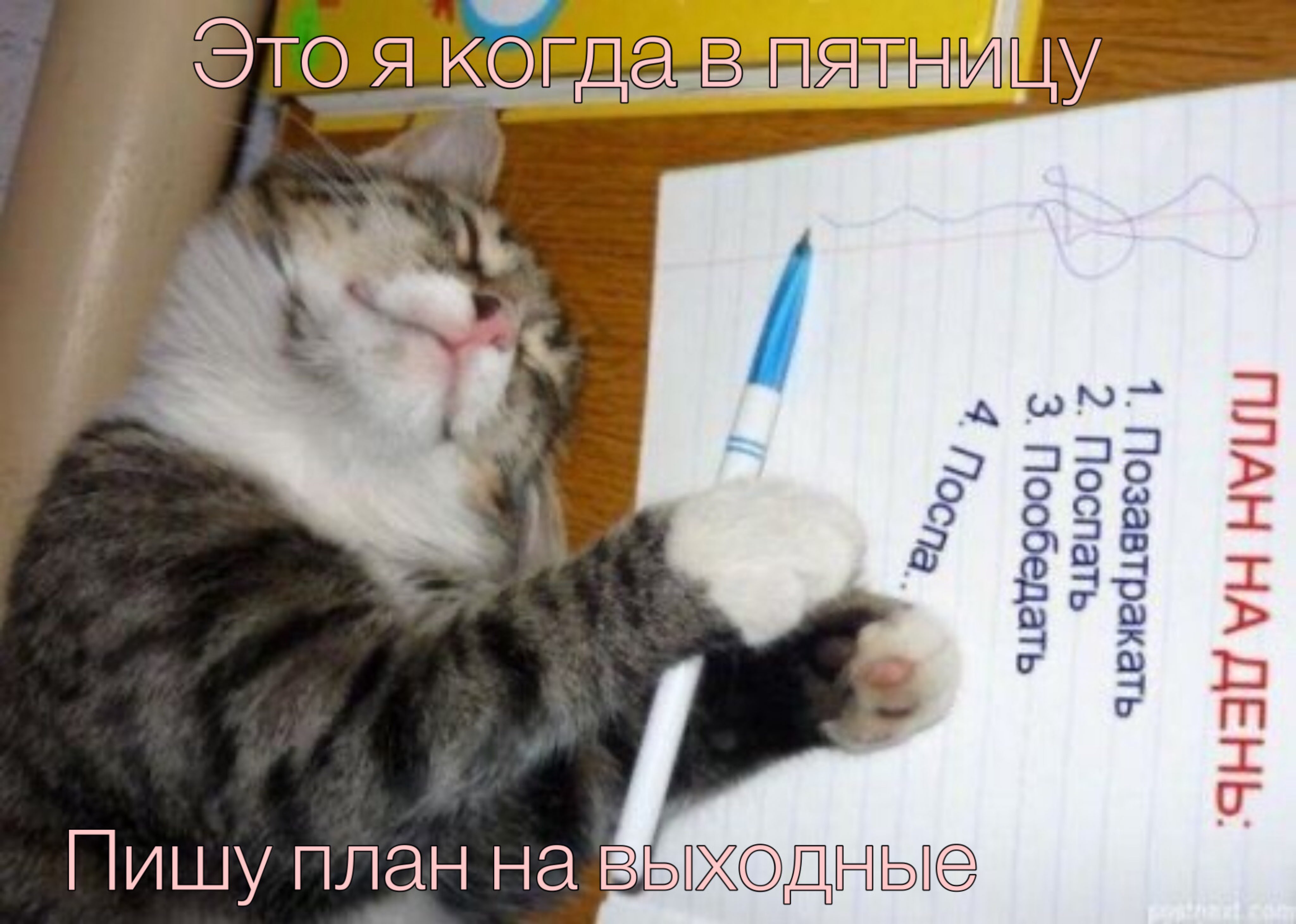 _1 Т _ КСЭГДа В П ЯТН И ЩЁЦ7 _ __ 1232 _ _ _ Пишу план на ВЬПХДНЫ