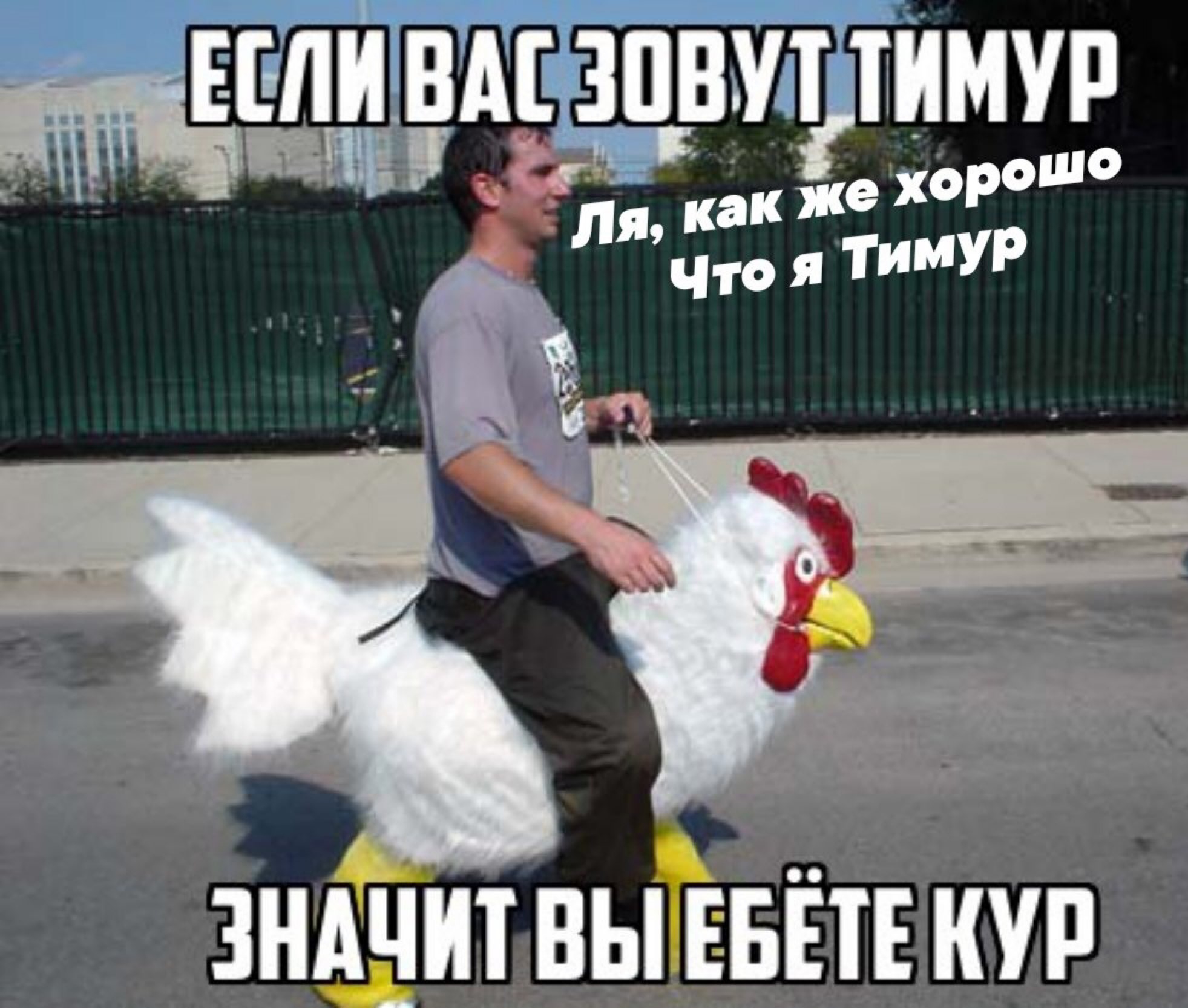 ь ч с Я _ 2 ЗНАЧИТ ВЫ ЕБЁТЕ КУР