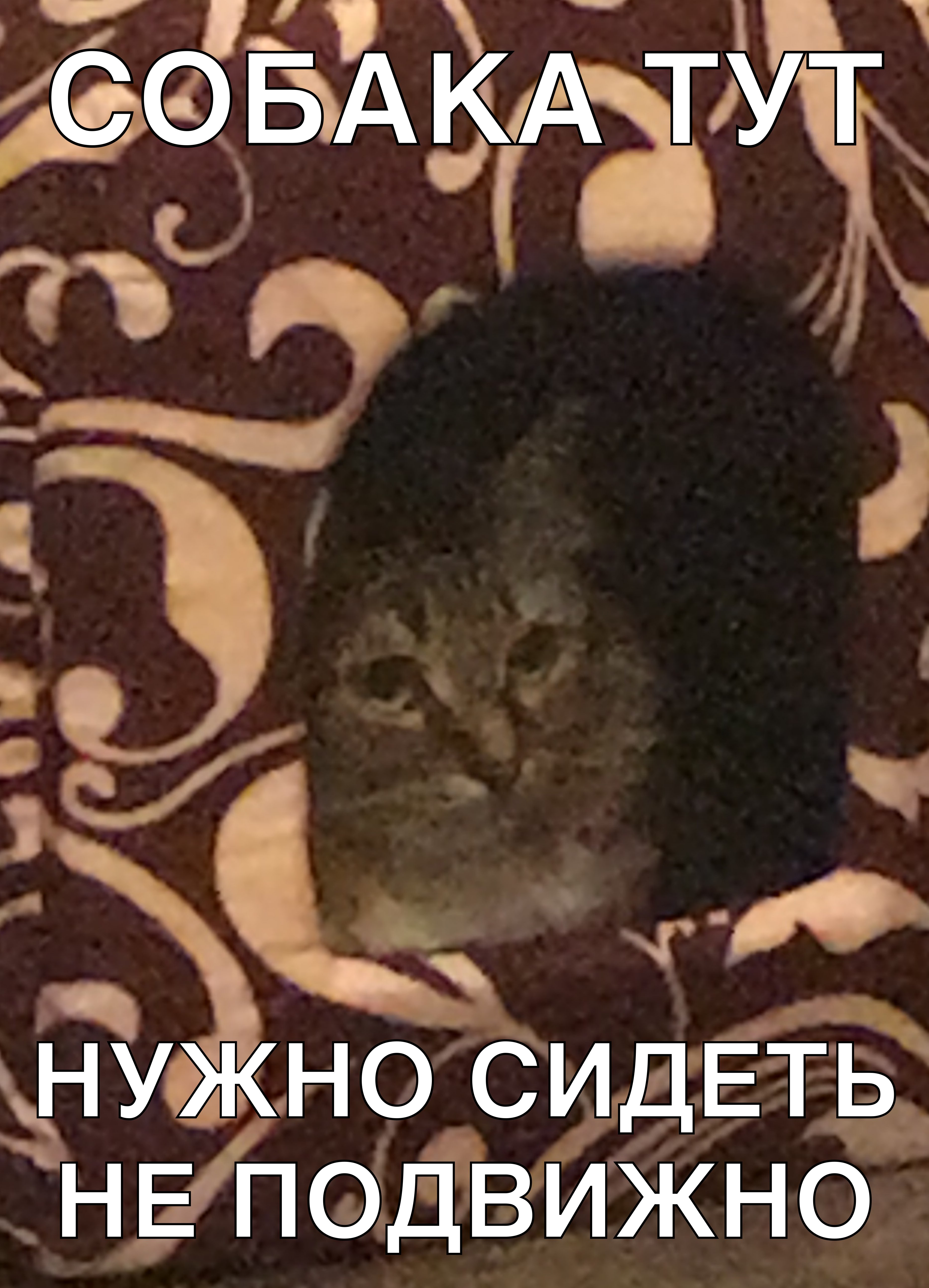 ср хг ужн с ЮДЁТЁ нЁп ЁМЖ н о