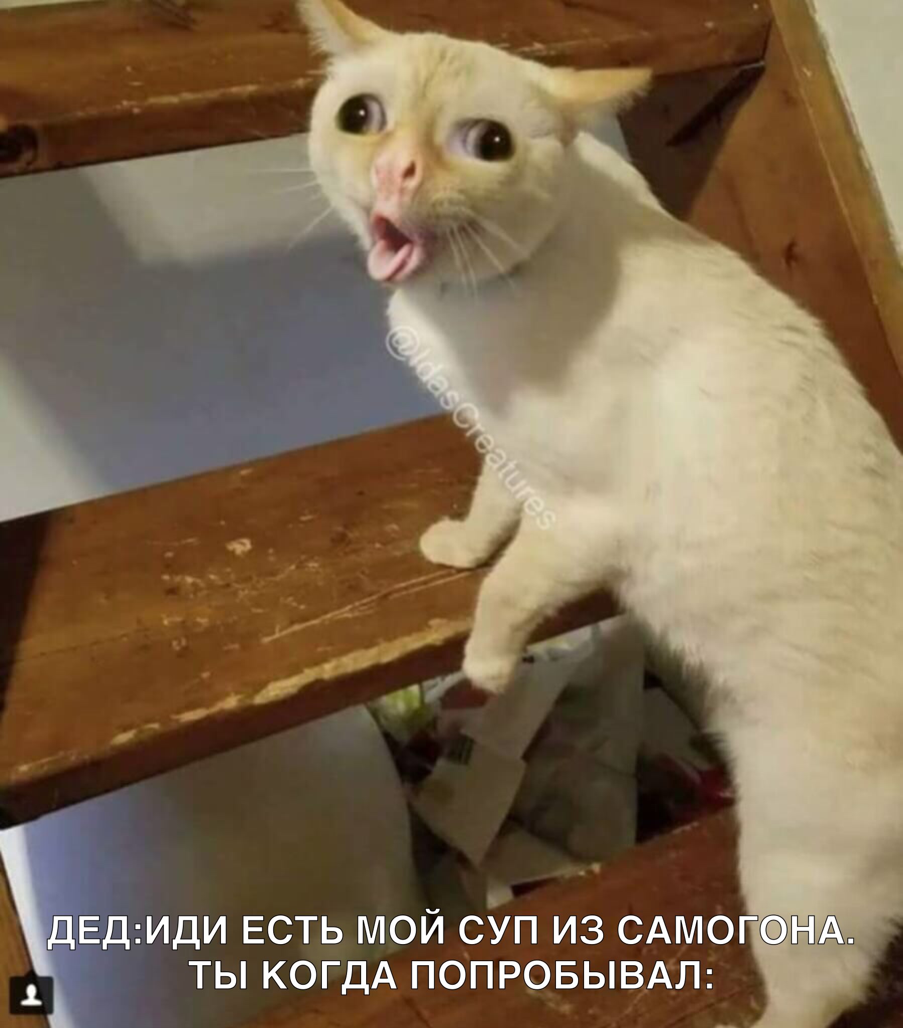 ДЕДИДИ ЕСТЬ мой _сУп из САМОГ ты КОГДА попровывАш Ч _