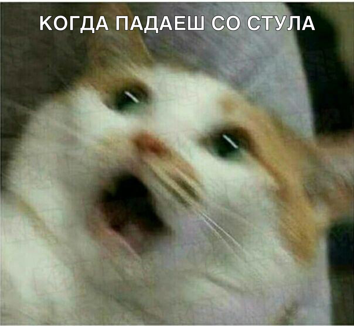 ЁДд когдд3ддёш г