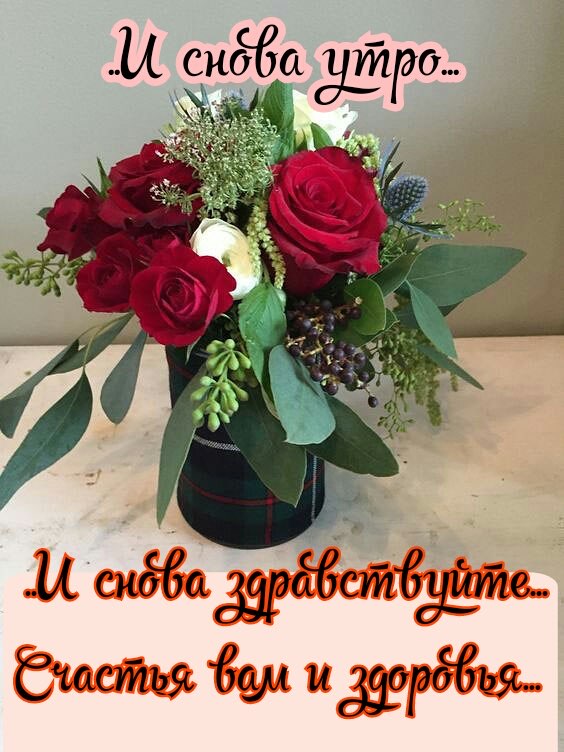 и снёба широ
