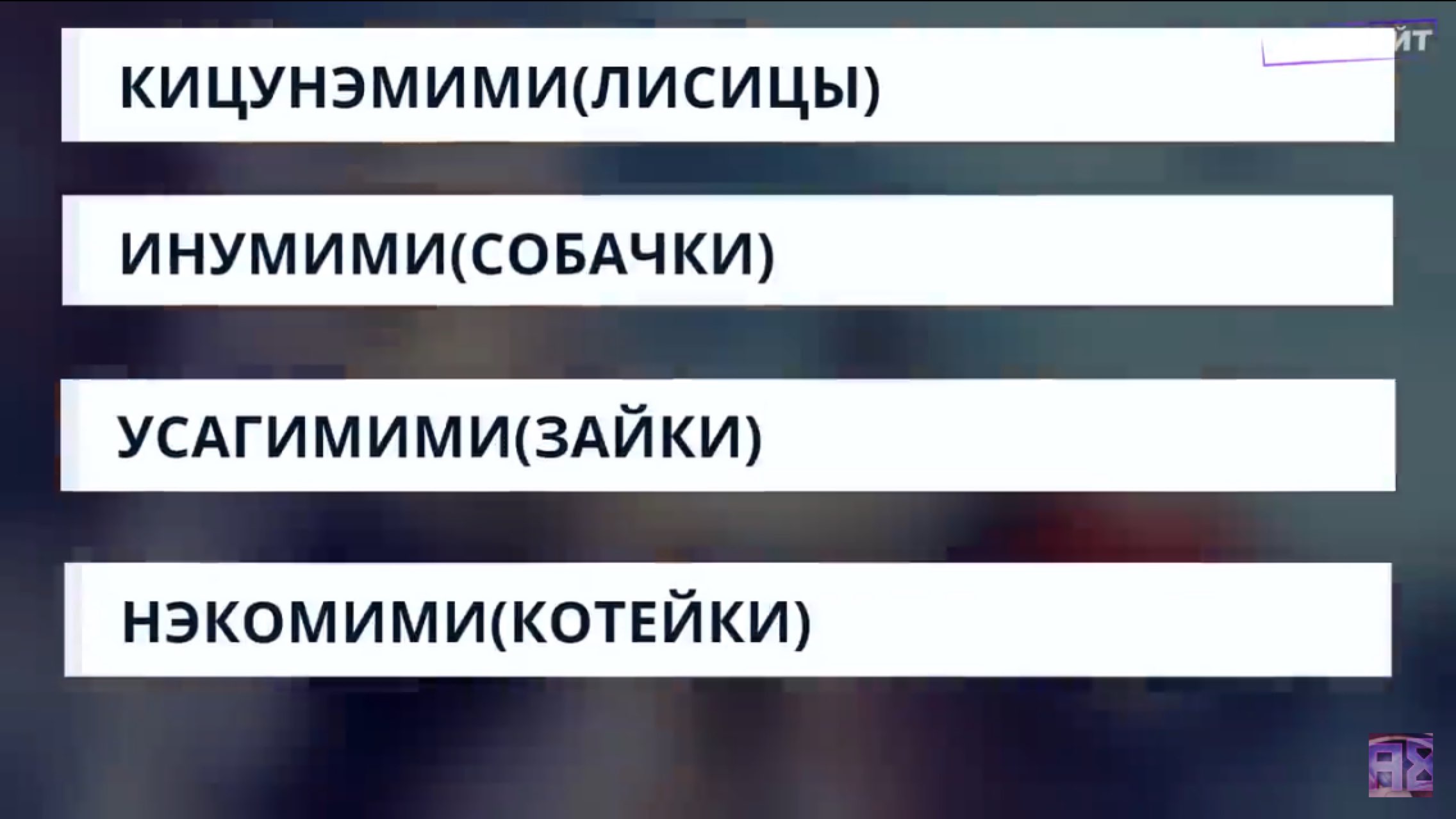 КИЦУНЭМИМИШИСИЦЫ ИНУМИМИСОБАЧ КИ УСАГИМИМИЗАЙКИ нэкомимщкотвйкт