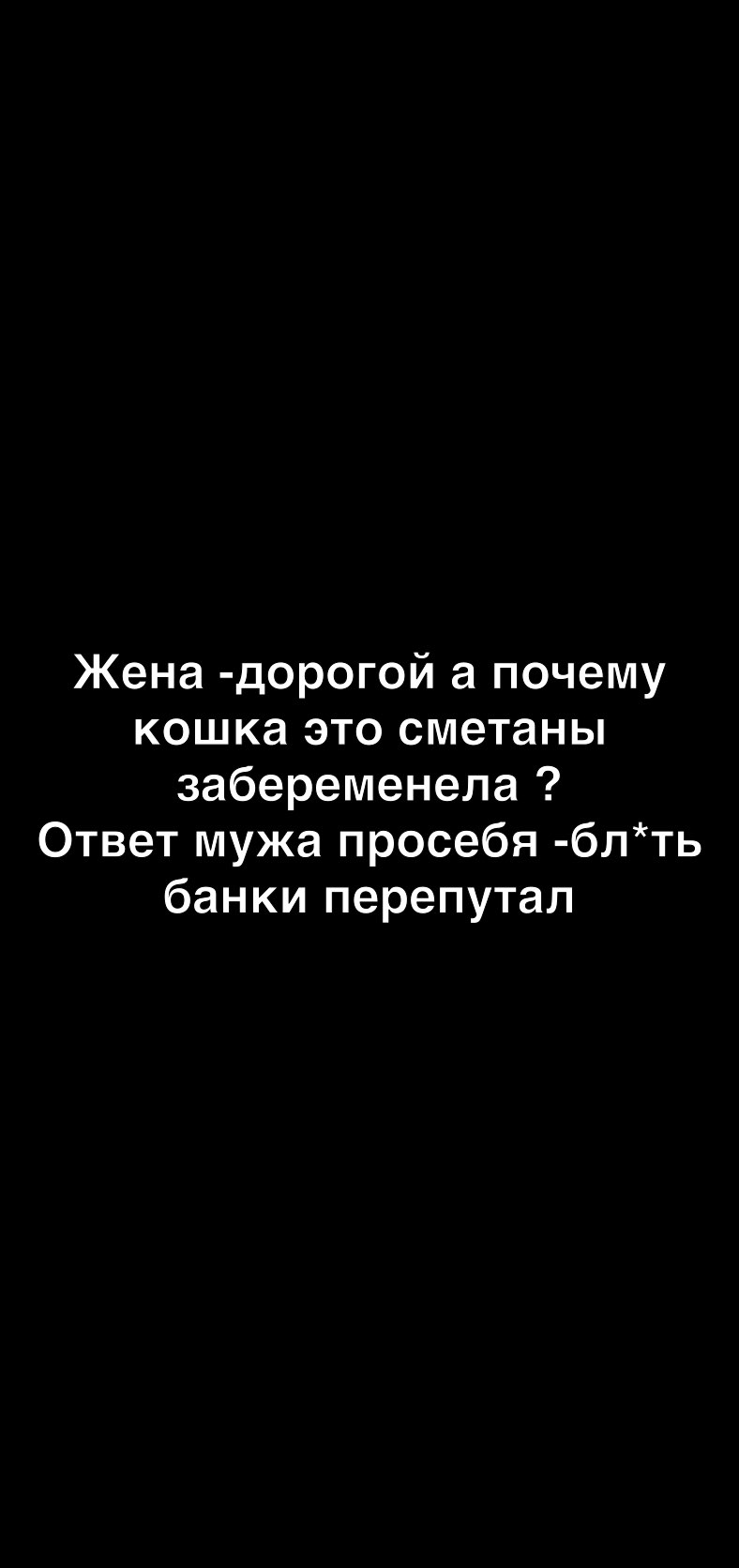 Жена дорогой а почему кошка это сметаны забеременела Ответ мужа просебя блть банки перепутал