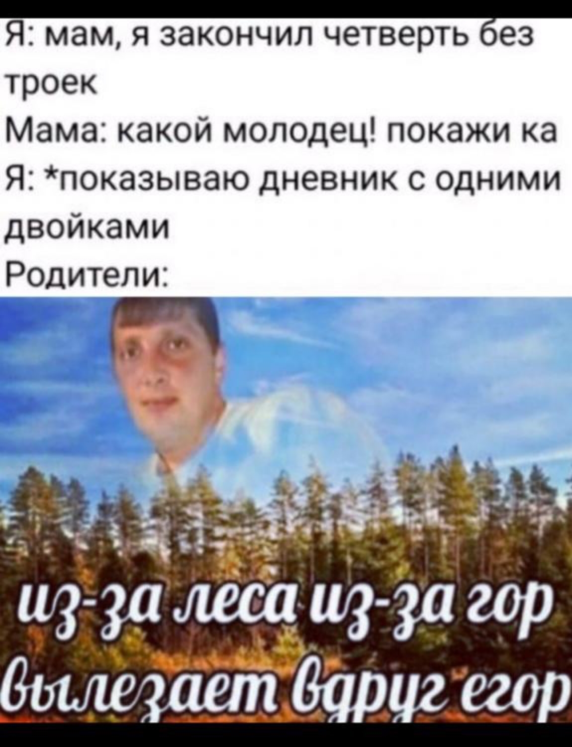 Я мам Я ЗЭКОНЧИЛ четверть 893 троек Мама какой молодец покажи ка Я показываю дневник с одними двойками Родители