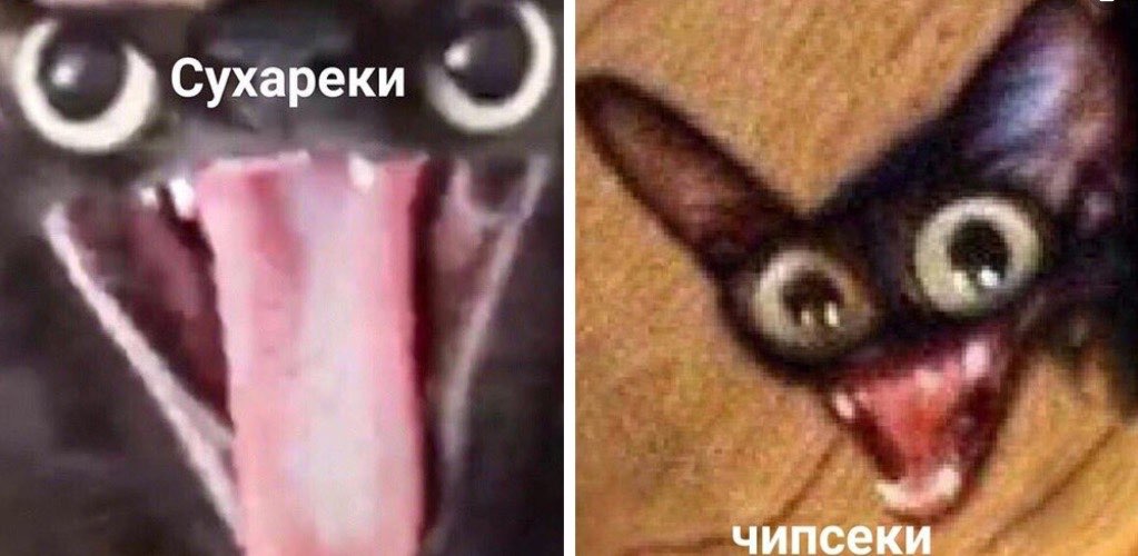 1 0 Сухареки О