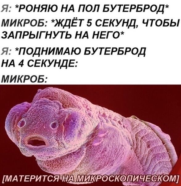 Я РОНЯЮ НА ПОЛ БУ ТЕРБРОД МИКРОБ ЖДЁТ 5 СЕКУНД ЧТОБЫ 3АПРЬ1Г НУТ Ь НА НЕГО Я ПОДНИМАЮ БУТЕРБРОД НА 4 СЕКУНДЕ МИКРОБ
