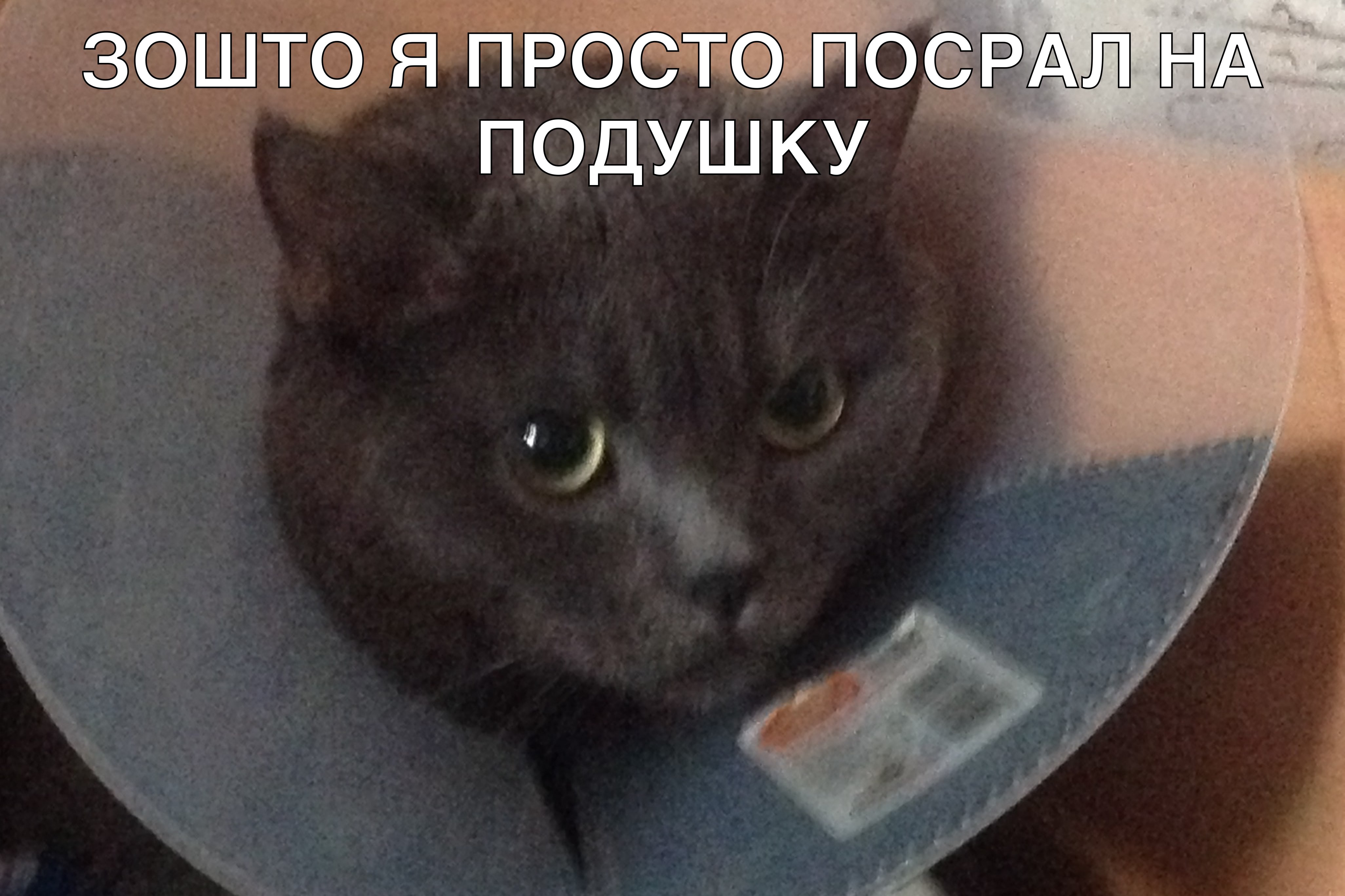 ЯПРСТ поспэ псдушку 1 Ч _ о