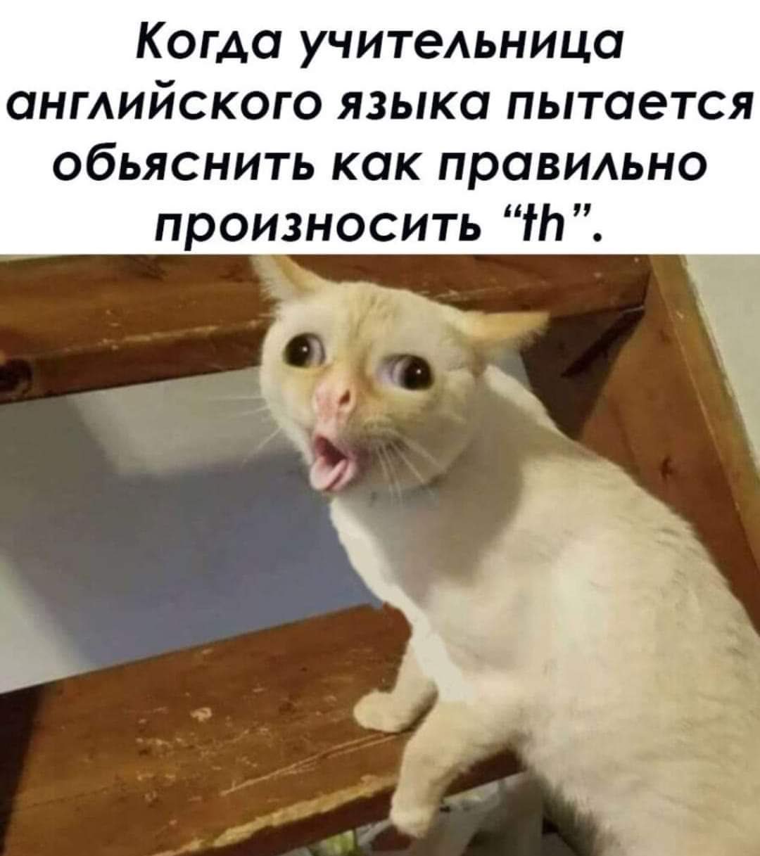 Когда учительница анмийского языка пытается обьяснить как праВИАьно произносить Нч
