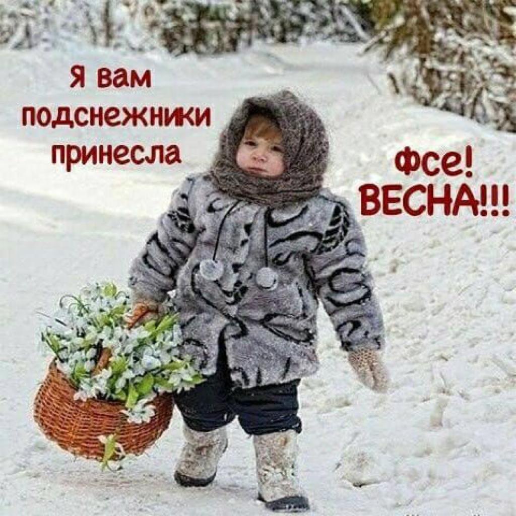 я вам подснежнжи _