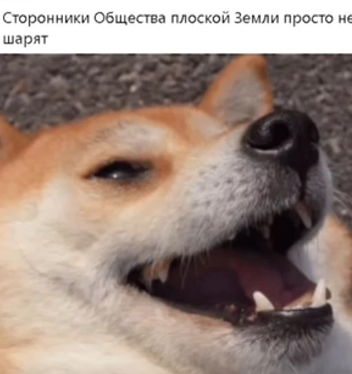 Сторонники Общества плоскоы Земли просго не шарят
