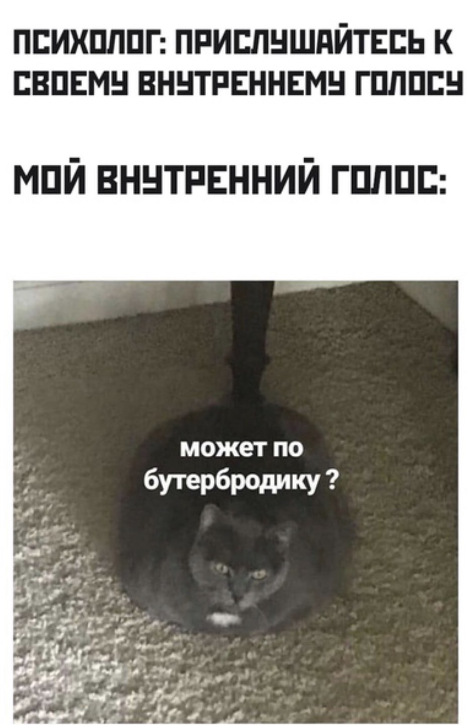 ПВИХШШГ ПРИШНШПЙТЕЕЬ К ЕВПЕМН ВННТРЕННЕМН ГПППЕН мпй вннтпвнний гпппп может ПО бутербродику