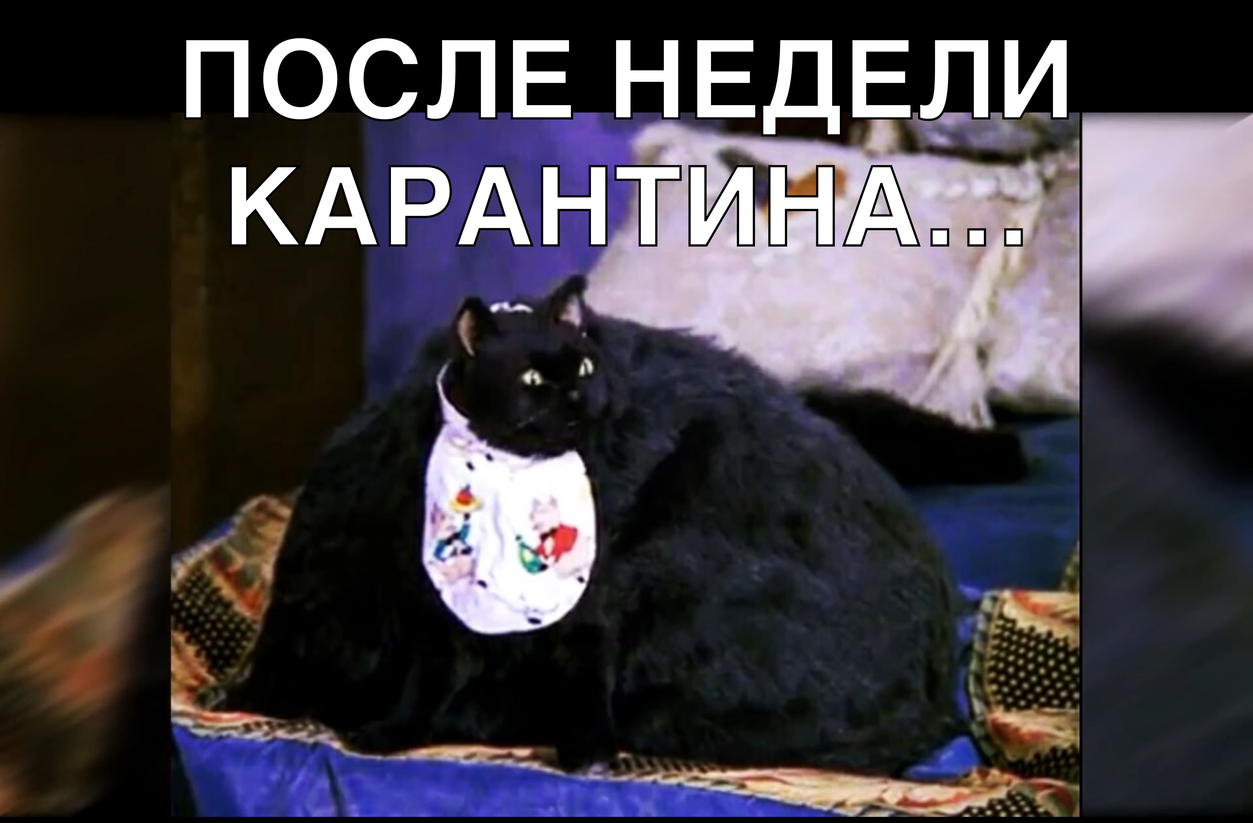 ПОСЛЕ НЕДЕЛИ КАРАНТИНАШ