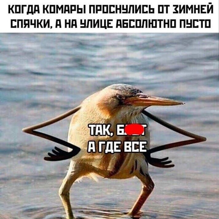 КПГдд КПМПРЫ ПРПЕННЛИЕЬ ПТ ЗИМНЕЙ спячки нд нпицъ двсплштнп пнстп _ _Ач