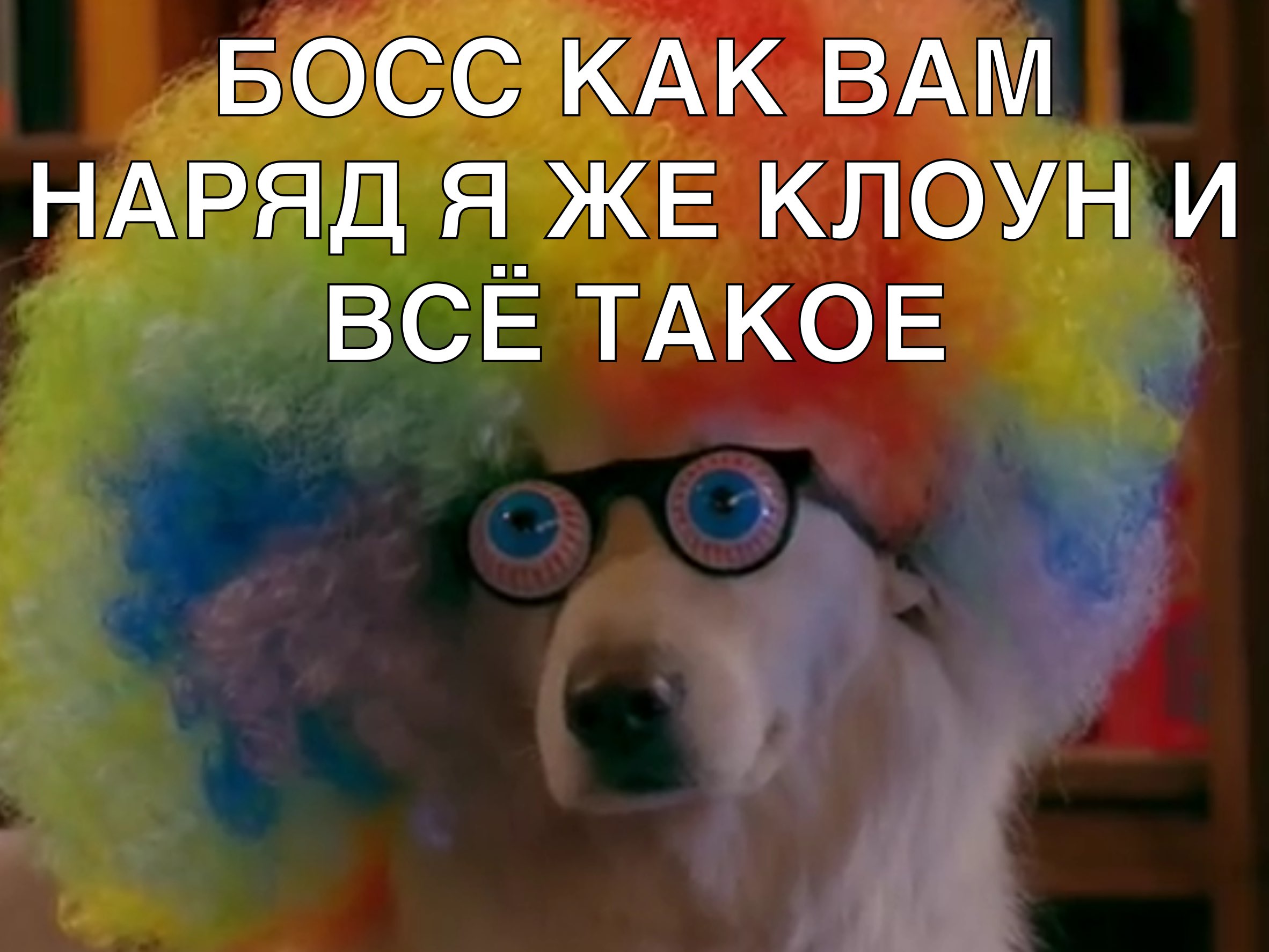 БОСС КАК ВАМ НАРЯД а_ЖЕ клоун и ВСЕТАКОЕ