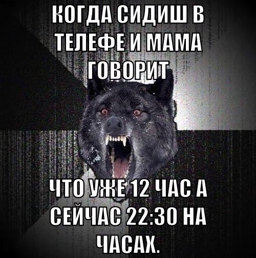НШДд ВИДИШ В ЧШ УЖЕ 12 Ч Ц СЕЙЧд812230 Нд чдсдк