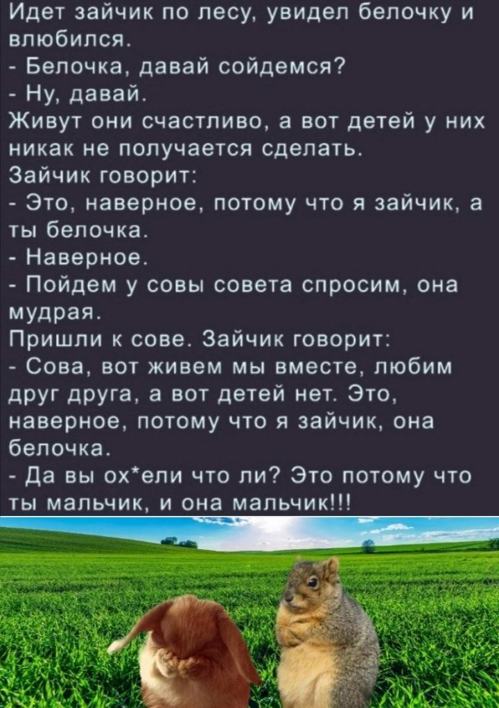 Идет зайчик по лесу увидел белочку и влюбился Белочка давай сойдемся Ну давай Живут они счастливо а вот детей у них никак не получается сделать Зайчик говорит Это наверное потому что я зайчик а ты белочка Наверное Пойдем у совы совета спросим она мудрая Пришли к сове Зайчик говорит Сова вот живем мы вместе любим друг друга а вот детей нет Это наверное потому что я зайчик она белочка Да вы охепи чт