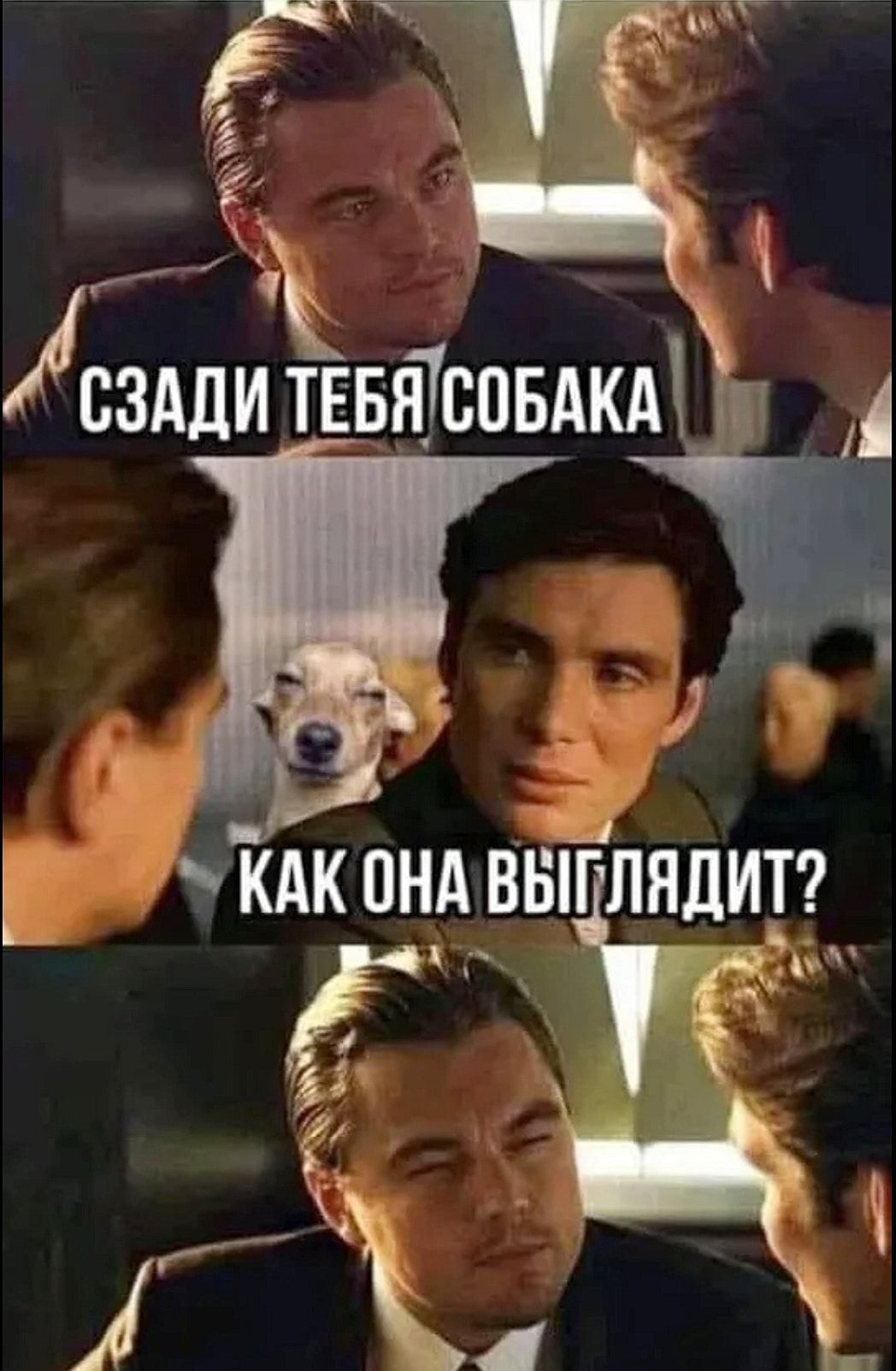Й Йсзддитввтспвдкд и