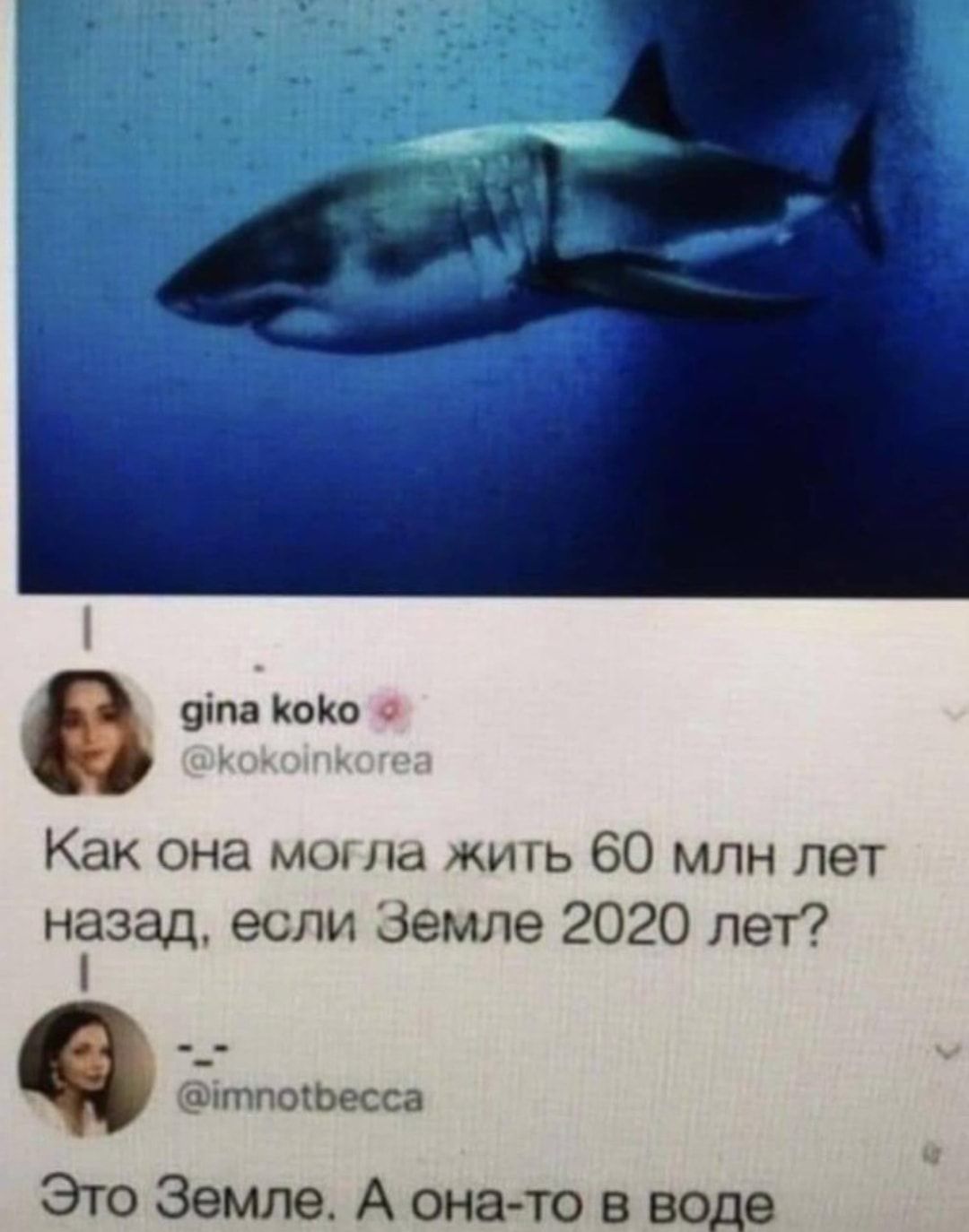 9іпа КоКо Как она могла жи гь 60 млн лет ніззад если Земле 2020 лет тпоіЬесса Это Земле А она то в воде
