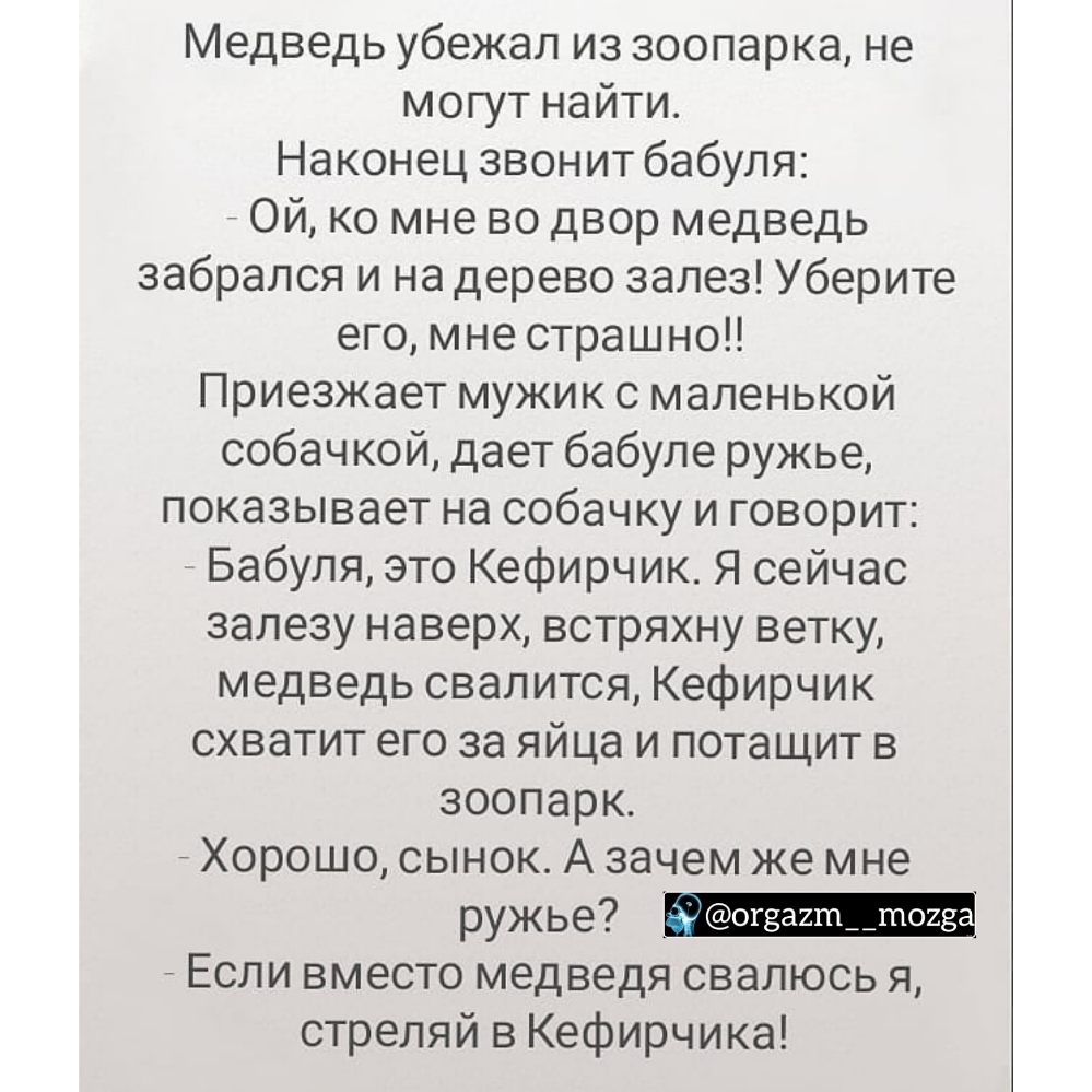 Медведь убежал из зоопарка не могут найти Наконец звонит бабуля ной ко мне во двор медведь забрался и на дерево залез Уберите его мне страшно Приезжает мужик с маленькой собачкой дает бабуле ружье показывает на собачку и говорит _ Бабуля это Кефирчик Я сейчас залезу наверх встряхну ветку медведь свалится Кефирчик схватит его за яйца и потащит в зоопарк Хорошо сынок А зачем же мне ружье Если вместо