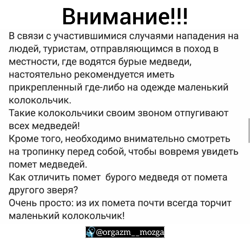 Внимание В связи с участившимися случаями нападения на людей туристам отправляющимся в поход в местности где водятся бурые медведи настоятельно рекомендуется иметь прикрепленный гделибо на одежде маленький колокольчик Такие колокольчики своим звоном отпугивают всех медведей Кроме того необходимо внимательно смотреть на тропинку перед собой чтобы вовремя увидеть помет медведей Как отличить помет бу