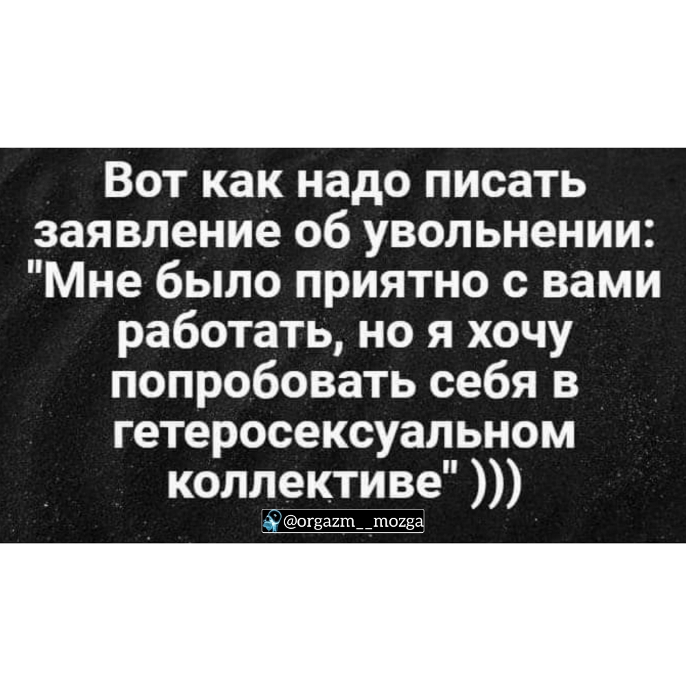 Вот как надо писать заявление об увольнении Мне было приятно с вами работать но я хочу попробовать себя в гетеросексуальном коллективе огзаитптоизаі