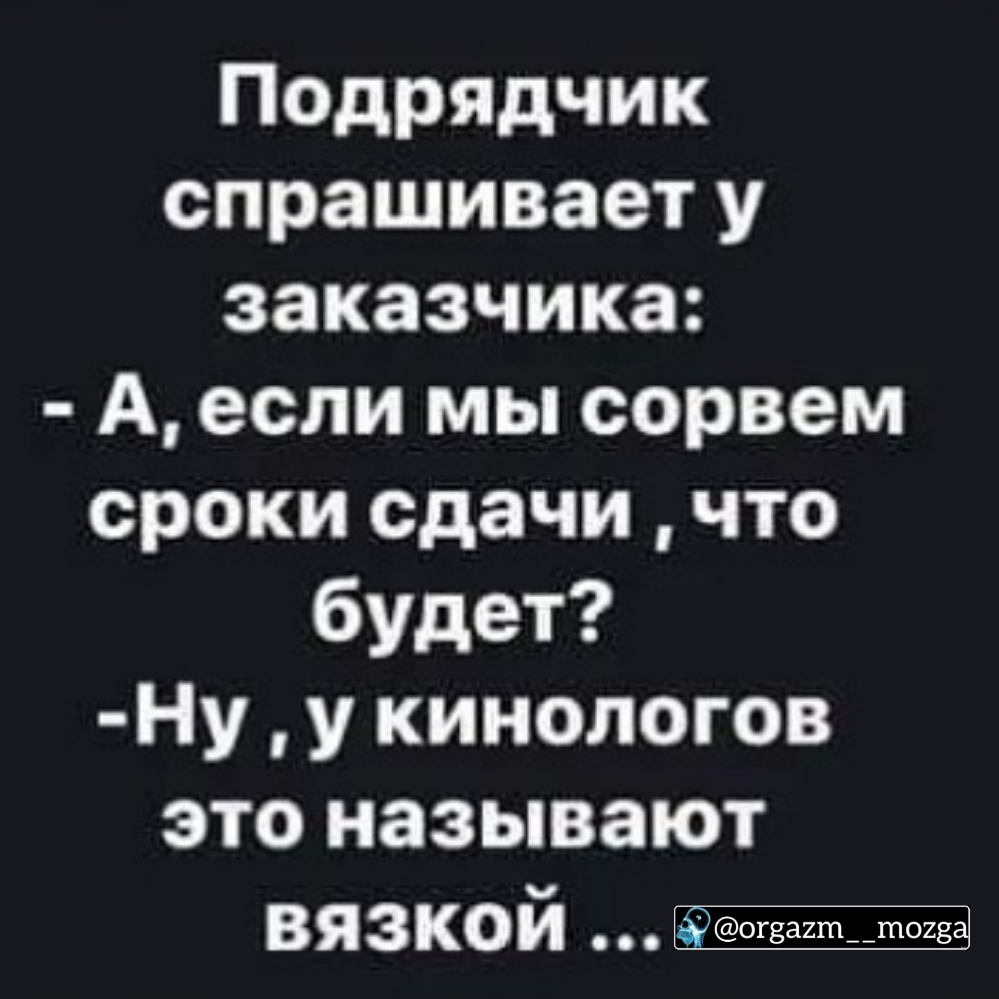 Подрядчик спрашивает у заказчика А если мы сорвем сроки сдачи что будет Ну у кинологов это называют вязкой