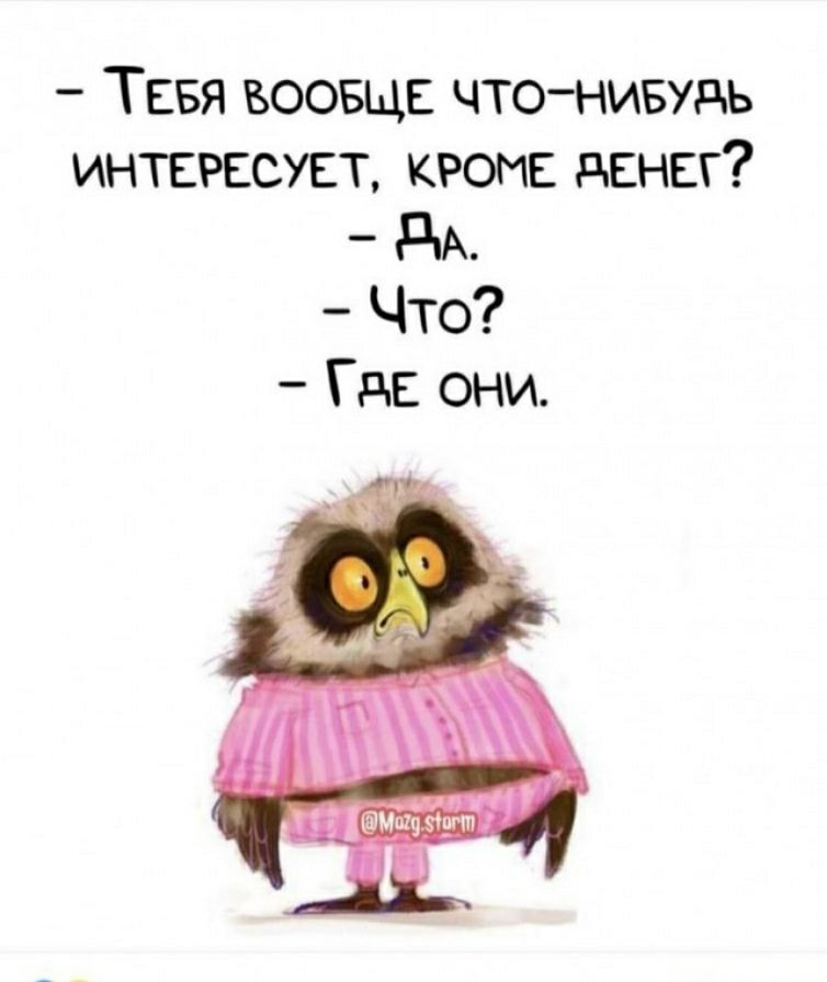 ТЕБЯ воовщв чтонивудь интересует кроме денег дА Что Где они