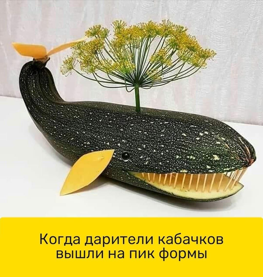 Когда дарители кабачков вышли на пик формы