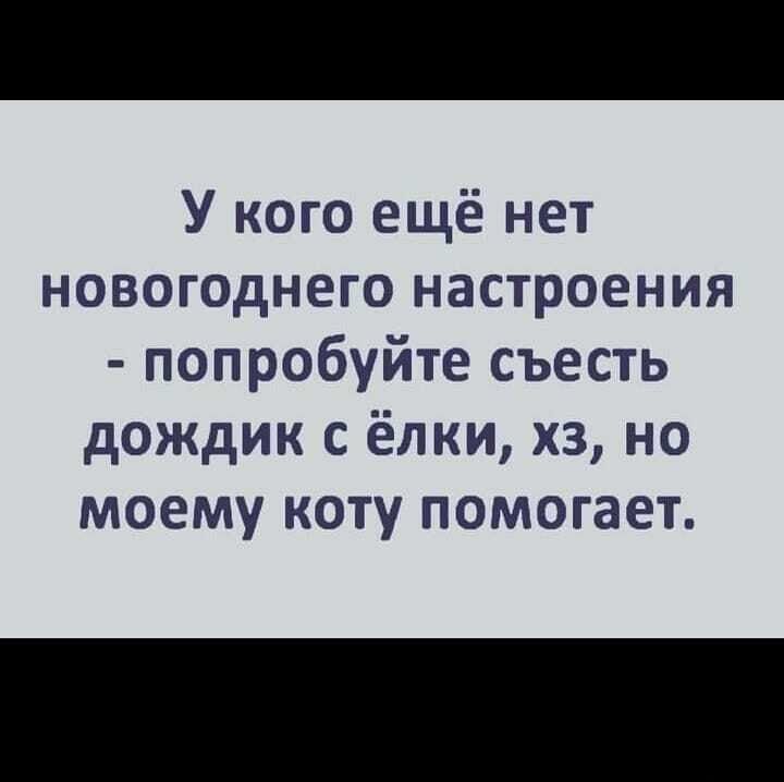 У кого ещё нет новогоднего настроения попробуйте съесть дождик с ёлки хз но моему коту помогает