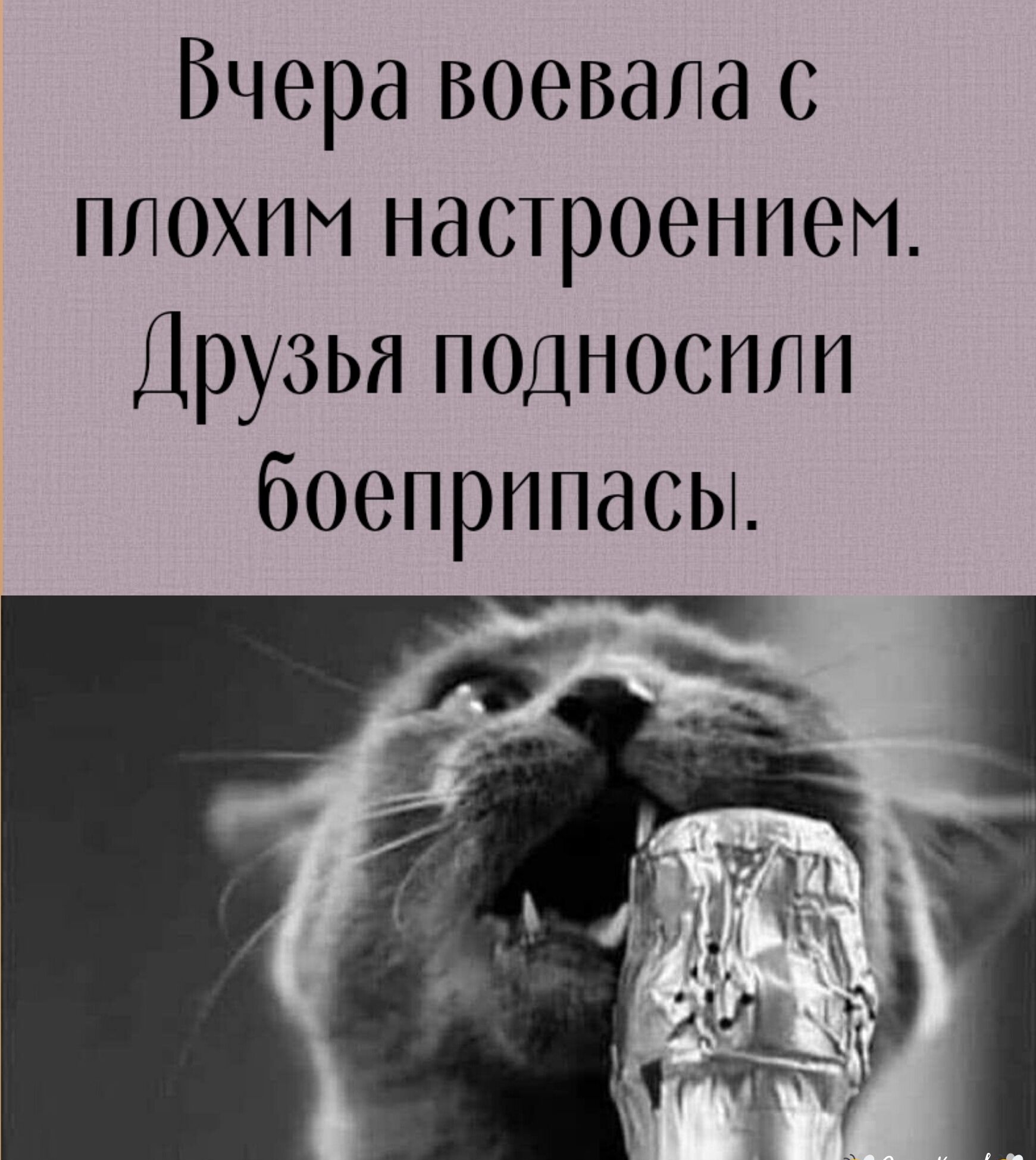 Вчера воевала с плохим настроением Друзья поцносппп боеприпасы