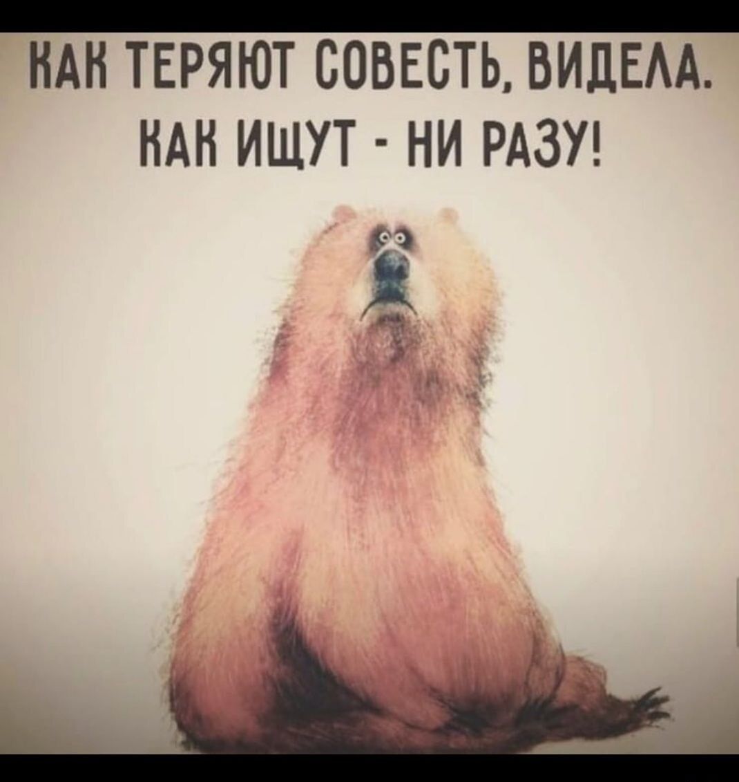 _ НАН ТЕРЯЮТ СОВЕСТЬ ВИДЕАА НАН ИЩУТ НИ РАЗУ