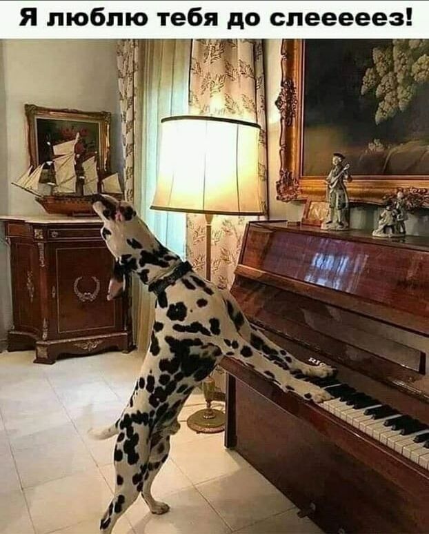 Я люблю тебя до слееееез