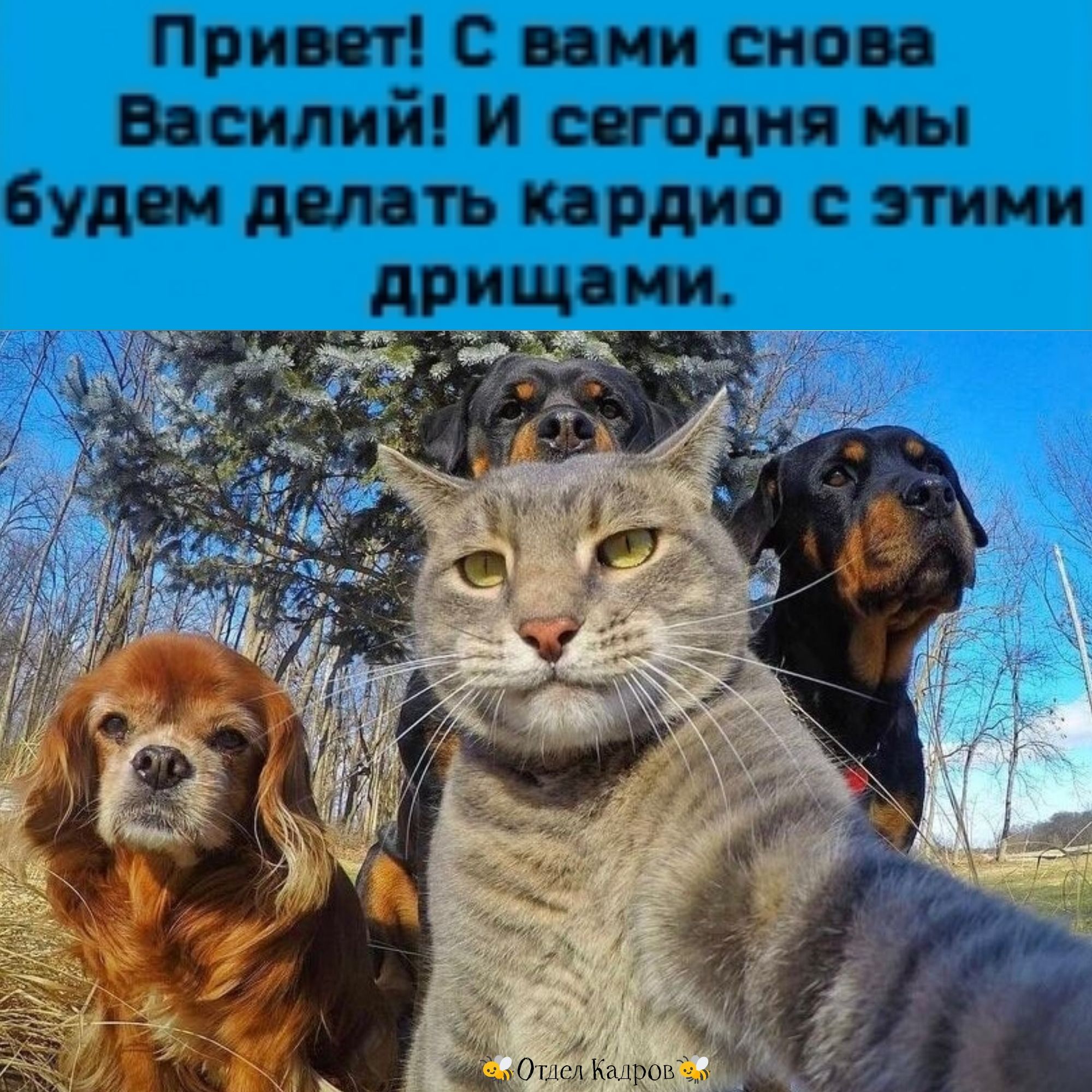 Привет с вами снова Василий и сегодня мы будем делать кардио этими Миши _а Отдел Кгщрові