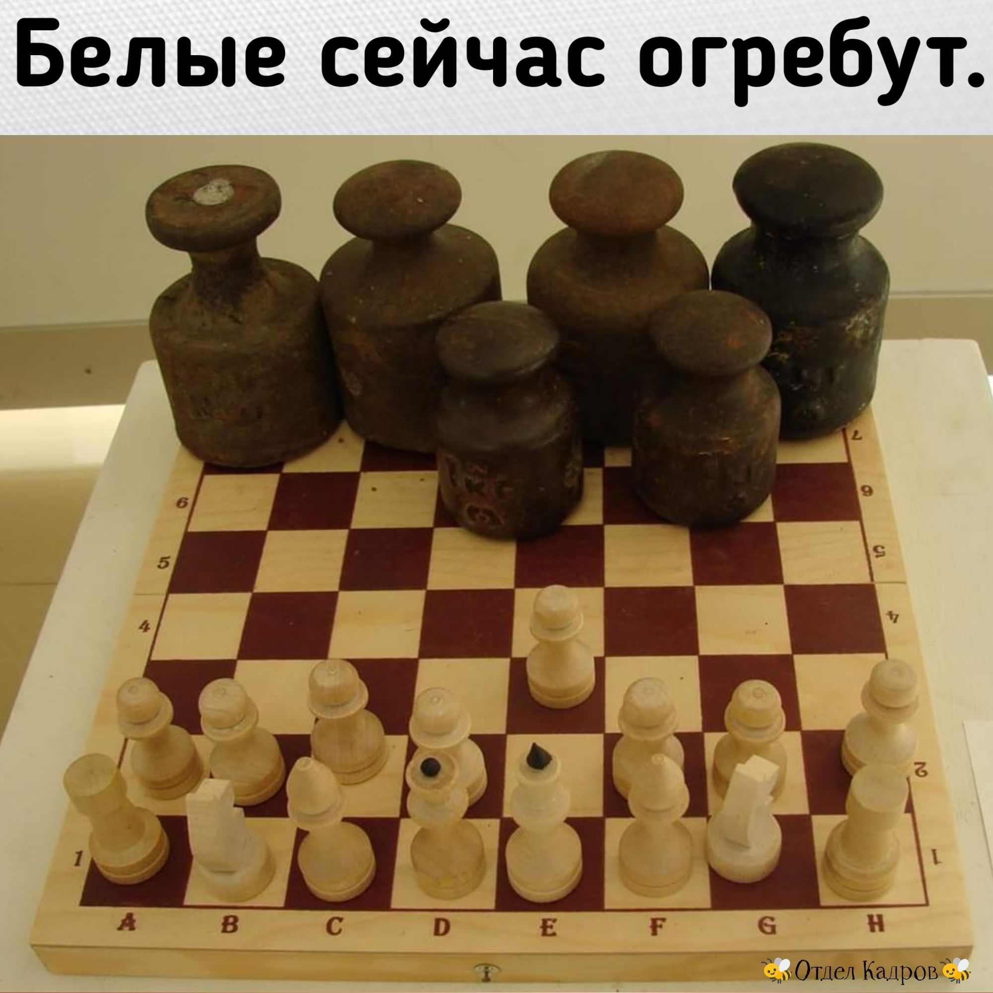 Белые сейчас огребут